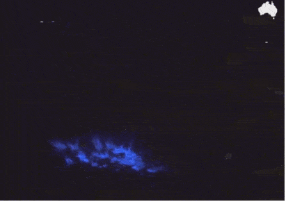 美到窒息！澳各地惊现蓝色荧光海，一到夜晚，就有神奇的事情发生！（视频/组图） - 36