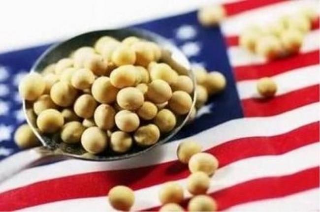中国官媒：取消61.5万吨大豆订单 不再需要美国（图） - 1