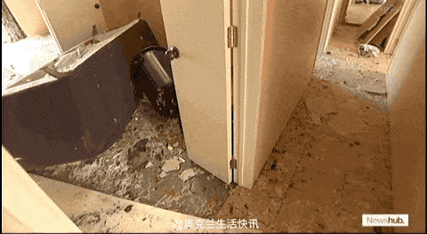 维修费达$20万！新西兰华人房东遭魔鬼租客，家里变垃圾场（视频/组图） - 10