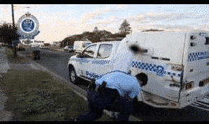 抓捕现场视频曝光！中国男子在悉尼遭人枪杀 警方逮捕两名嫌犯（视频/组图） - 12