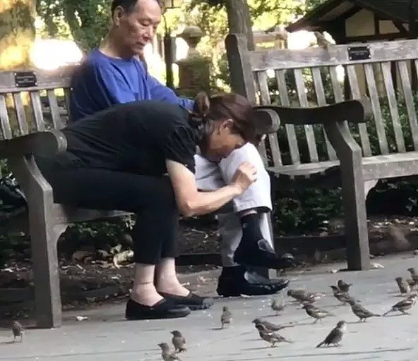 震惊！亚裔大妈在美国公园抓鸟被实拍！网友炸裂：什么都吃！（视频/组图） - 4