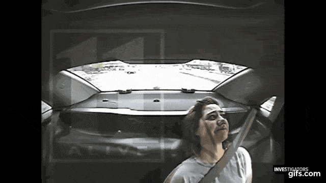 太儿戏！美国警察用抛硬币决定抓不抓超速女司机 结果玩儿大了...（视频/组图） - 11