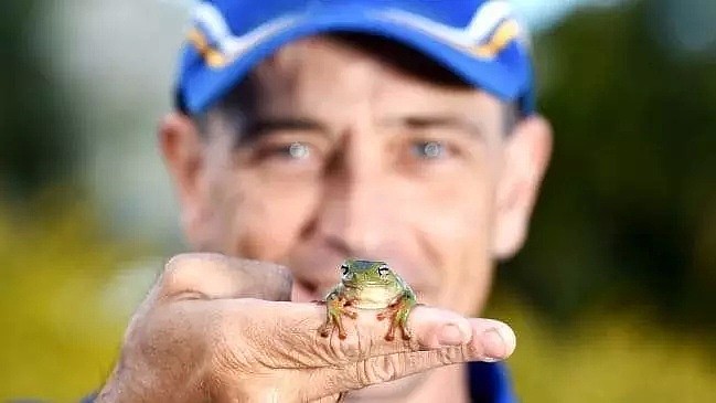澳男发了张放生青蛙的照片，结果成了网红！连外国媒体都抢着见他（组图） - 9