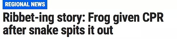 澳男发了张放生青蛙的照片，结果成了网红！连外国媒体都抢着见他（组图） - 10