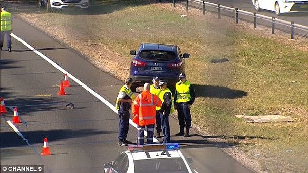 悲剧！悉尼M2发生致命车祸！71岁大爷竟步行穿过高速路，当场被撞惨死（组图） - 2