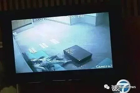 24岁中国留学生惨遭抢劫，被乱棍打死，竟因为“中国人有钱”（组图） - 4
