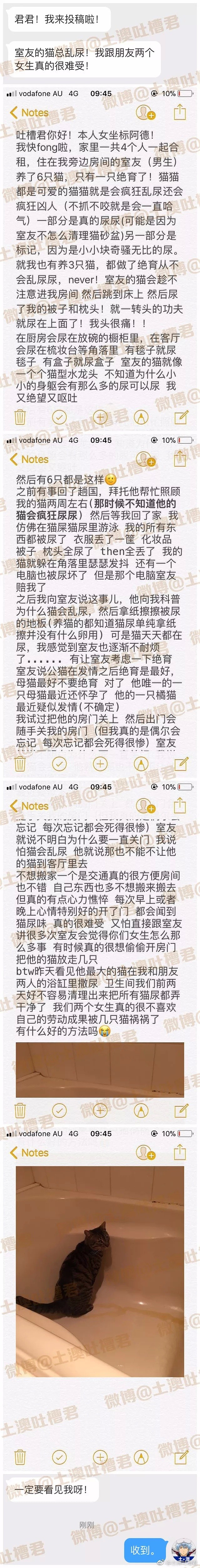 和养了6只猫的帅哥做室友，竟是这种体验.... - 2