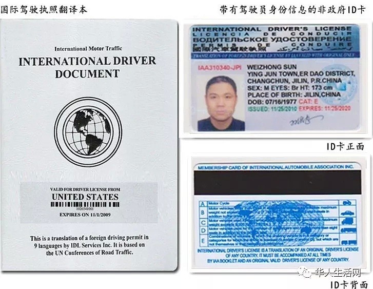 中国“国际驾照”如废纸 北美开车被抓（组图） - 1