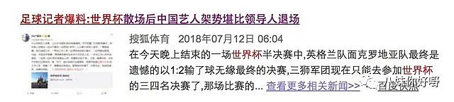 打记者、袭胸…这些在世界杯现场露脸的中国明星让人有点失望（组图） - 4