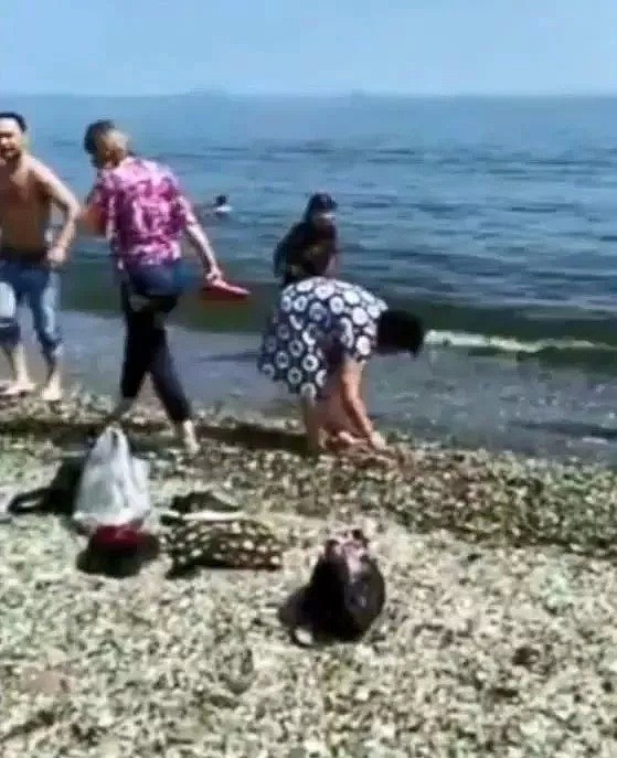 无视提醒！中国大妈在俄罗斯玻璃海滩捡走一袋子玻璃遭批，中领馆：中国游客要文明举止，维护形象！（视频/组图） - 2