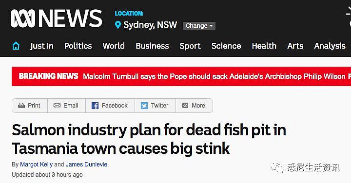 出大事了！澳洲135万三文鱼暴毙！三大渔场一片死尸，整个产业遭重创！（组图） - 1
