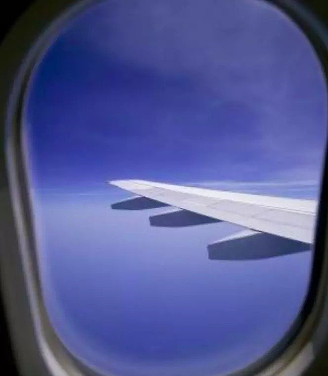 恐怖！澳客机万米高空飞行中，忽然巨大白光笼罩飞机，所有人当场吓哭！（组图） - 12