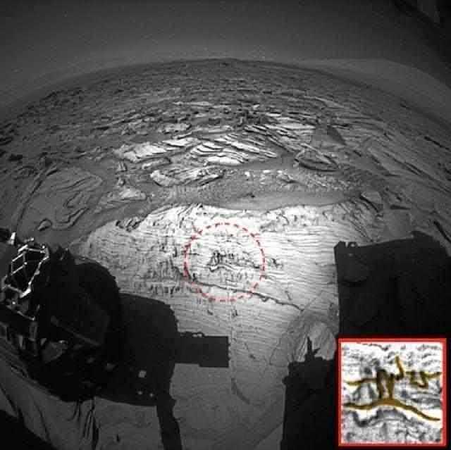 火星拍到神秘壁画： 远古人领着蛇在奔跑 （组图） - 1