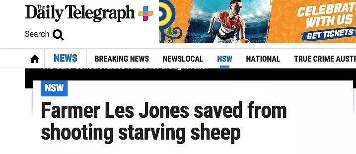 悲惨！悉尼郊区大旱，上万只羊饿成皮包骨，很多人却专买这种羊...（组图） - 14