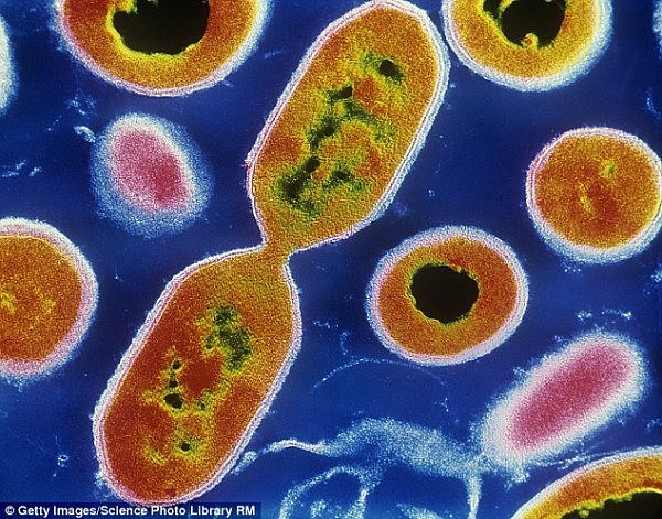 因为一场感冒，澳7岁男童竟病危身亡！专家呼吁：流感季高峰，小心这种致命病毒！(组图） - 2