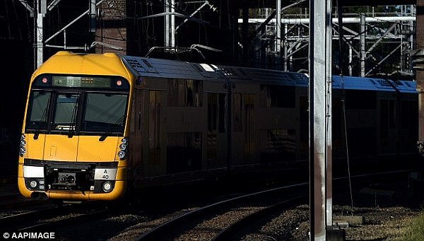又来！男子在悉尼城铁上公然“露鸟”！女乘客“落荒而逃”，变态男被捕时竟还对警察...(组图） - 2