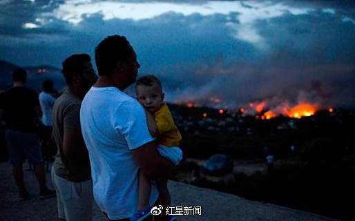 希腊夺命山火：一家26人在距海边不到30米处相拥而亡