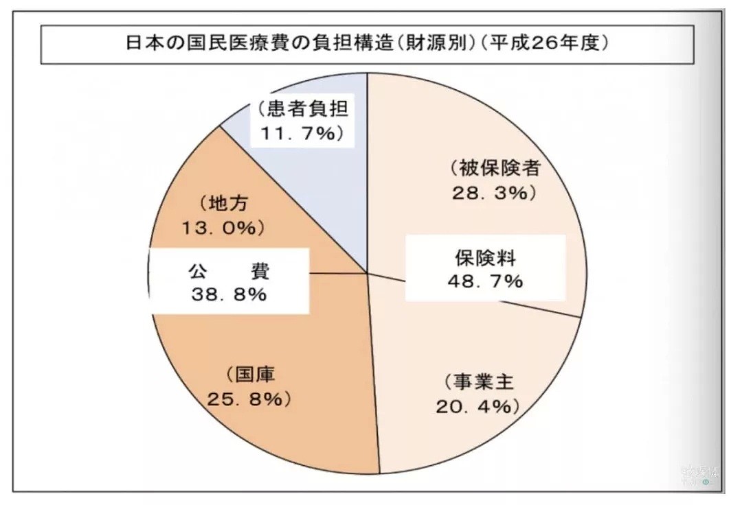媒体曝光一名中国女性钻国外医保空子，200万医疗费却只花了20万（组图） - 4