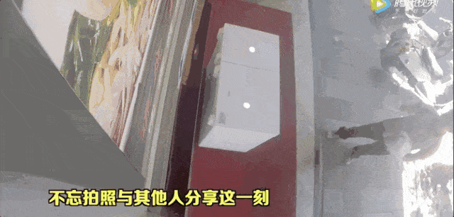 杭州街头惊现“免费冰柜”监控拍下的这幕惊呆众人（视频/组图） - 4