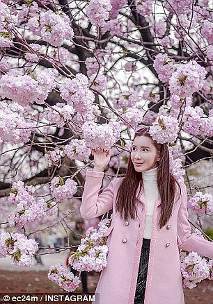 Singaporean 'Instagram Queen' Jamie Chua  takes in the beauty of Japan's annual cherry blossom season