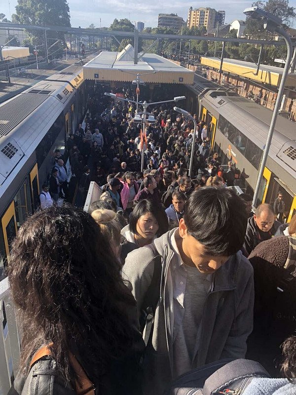 悉尼城铁又双叒瘫痪！大量乘客滞留站台，现场一片混乱！多条线路延误或取消...(组图） - 1