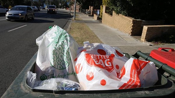 禁塑令成“笑话”，看着真心痛！悉尼到处可见丢弃的重复使用加厚塑料袋，只用一两次就被扔了…（组图） - 4