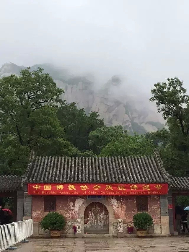 我在龙泉寺扫厕所（组图） - 14