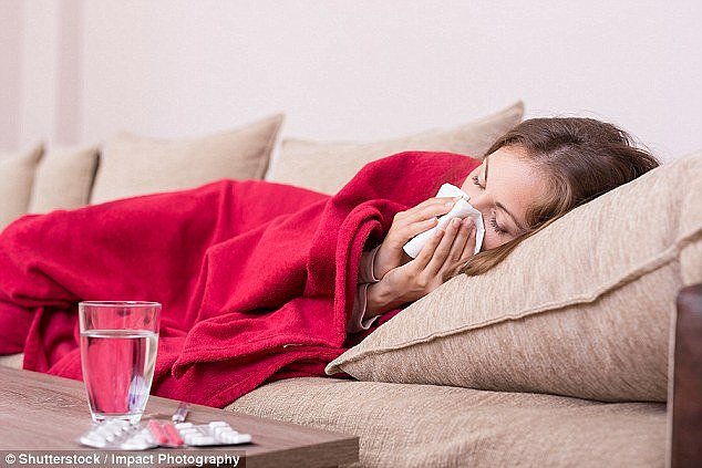 There was a flu outbreak in Brisbane¿s centenary suburbs this week (stock image)