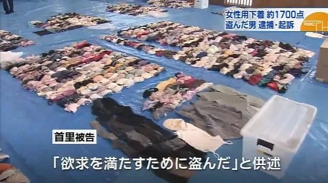 史上最变态！日本男子偷1733件女性内衣，一字排开后场面惊人…（组图） - 6