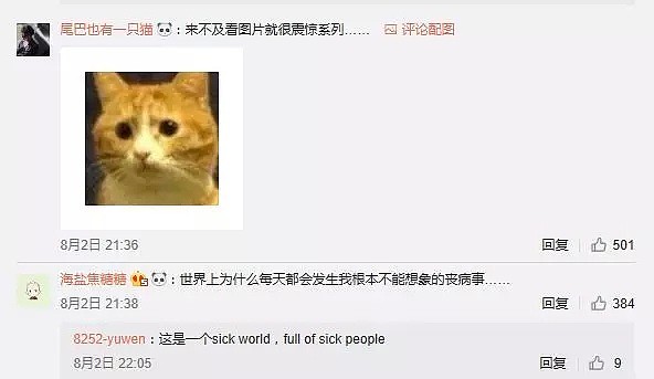 中国网友都怒了！