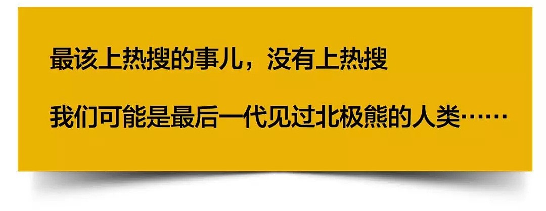 北极圈都30度了，40年内北极熊或要灭绝…早晚要轮到我们人类遭殃…（组图） - 1