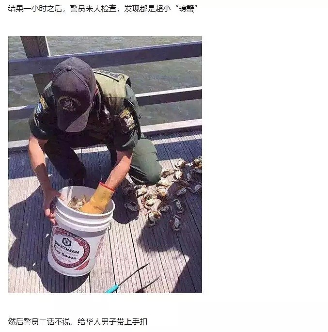 华人吃货钓鱼烧烤母蟹被罚款！还有人朋友圈晒“捉螃蟹”，一小时后被捕...（组图） - 4