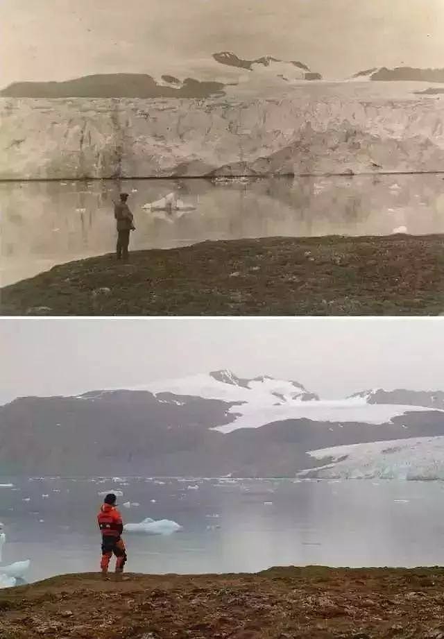 北极高达32℃，北极熊频繁淹死，下一个灭亡的就是……（组图） - 10