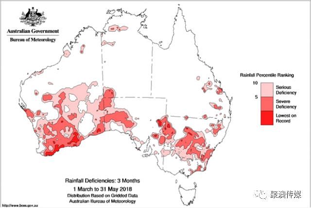 澳洲百年不遇旱灾！寸草不生、饥肠辘辘，有人射杀1200只羊，有人自杀…（组图） - 23