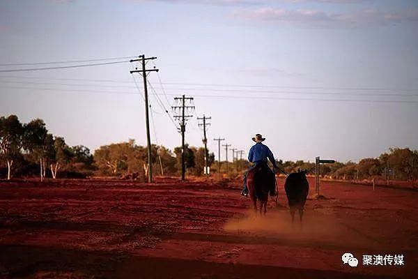 澳洲百年不遇旱灾！寸草不生、饥肠辘辘，有人射杀1200只羊，有人自杀…（组图） - 24