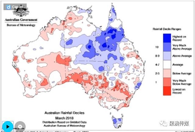 澳洲百年不遇旱灾！寸草不生、饥肠辘辘，有人射杀1200只羊，有人自杀…（组图） - 26