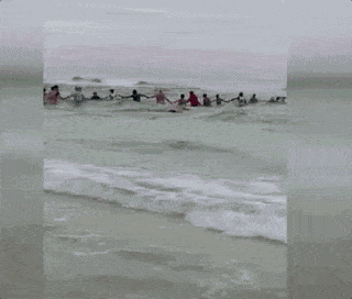 恐怖！澳洲小男孩在岸边玩耍，突然被“无形大手”拉进深海消失不见！看到这个东西千万不要犹豫！（视频组图） - 15