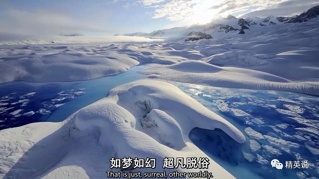 北极圈32℃，北极熊快要灭绝？这个人记录了冰川消失前最后的样子（组图） - 13