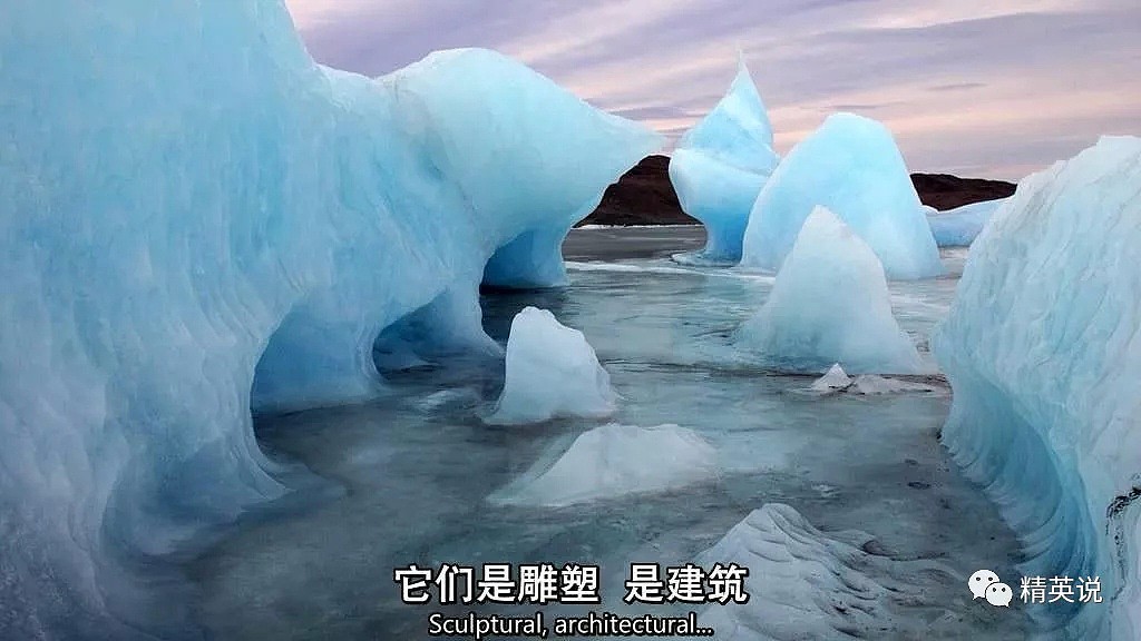 北极圈32℃，北极熊快要灭绝？这个人记录了冰川消失前最后的样子（组图） - 14