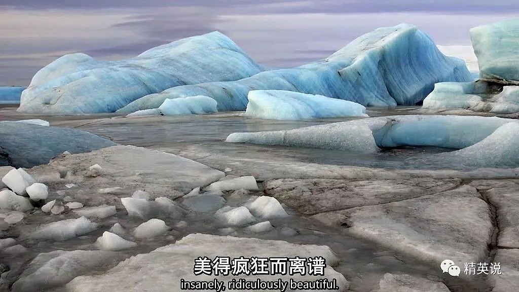 北极圈32℃，北极熊快要灭绝？这个人记录了冰川消失前最后的样子（组图） - 15