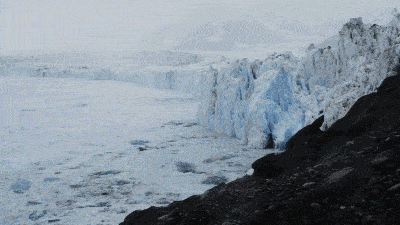 北极圈32℃，北极熊快要灭绝？这个人记录了冰川消失前最后的样子（组图） - 16