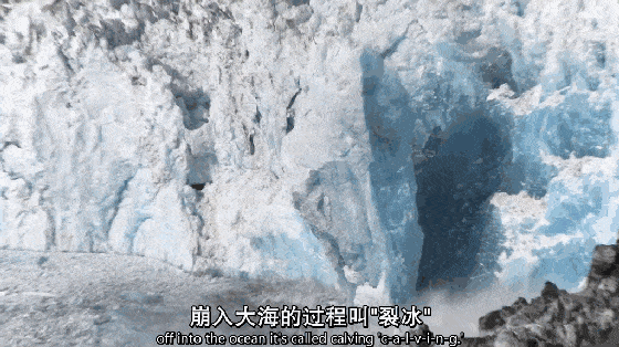 北极圈32℃，北极熊快要灭绝？这个人记录了冰川消失前最后的样子（组图） - 23