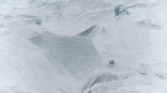 北极圈32℃，北极熊快要灭绝？这个人记录了冰川消失前最后的样子（组图） - 27