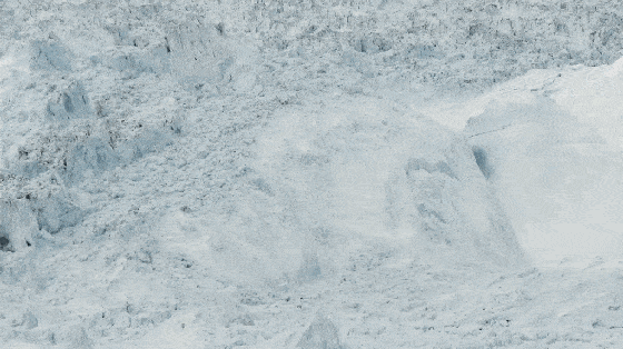 北极圈32℃，北极熊快要灭绝？这个人记录了冰川消失前最后的样子（组图） - 28