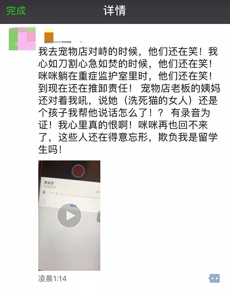 “我的宝贝被这墨尔本华人店活活洗死！”中国女孩心碎怒讨说法，宠物店回复“她是恶性诽谤!我们还在等待尸检！”（组图） - 5