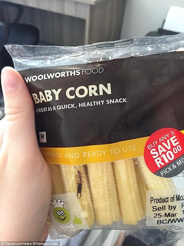 Another Woolworths customer found an earwig inside a bag which claimed the corn inside had been washed and was ready to use 