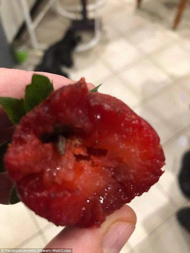A smaller insect was allegedly found inside a strawberry (pictured) bought from Coles after a shopper took a bite