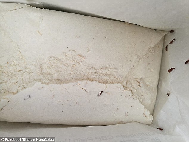 A customer found small insects crawling inside a package of flour she bought from Coles