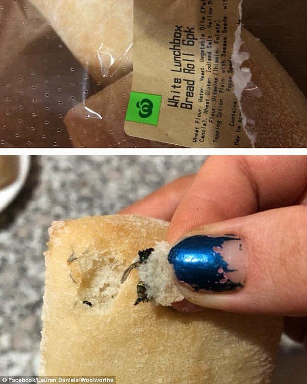 Baked goods weren't exempt from the odd insect, with a shopper discovering what appeared to be a dead fly inside a six pack of bread rolls (pictured)