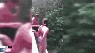 美国比基尼少女遭损友恶搞 18米高处被推落瀑布塘（组图/视频） - 1